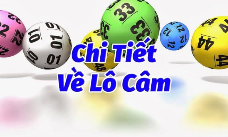 Lô câm Trà Vinh – Thống kê đầu đuôi câm XSTV chính xác nhất