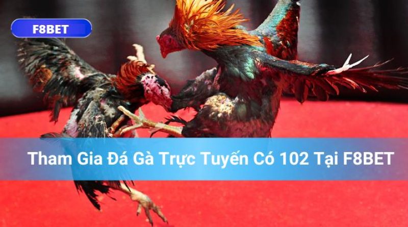 Giải đáp tại sao cược thủ nên cá cược đá gà F8bet 