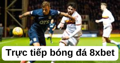 Trực tiếp bóng đá 8xbet: Sự lựa chọn hàng đầu cho người hâm mộ bóng đá