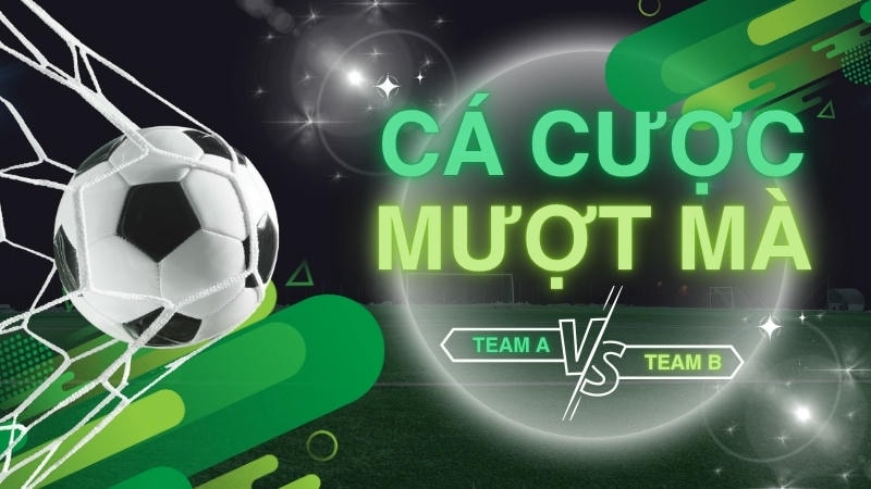  Biểu đồ biến động kèo trước trận đấu 