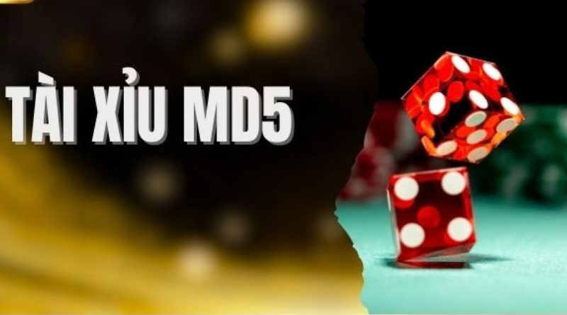 Tài xỉu MD5 HitClub: Trò chơi minh bạch và hấp dẫn