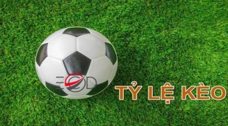 Theo dõi tỷ lệ kèo bóng đá trực tuyến các giải đấu tại 1gom